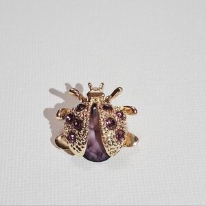 Cute Lady Bug Small Brooch